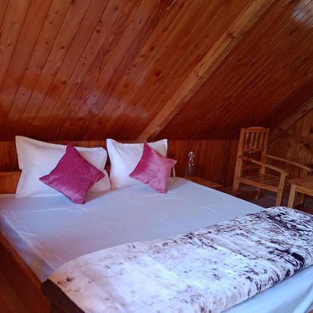 Forest View Cottage Jibhi Kültér fotó
