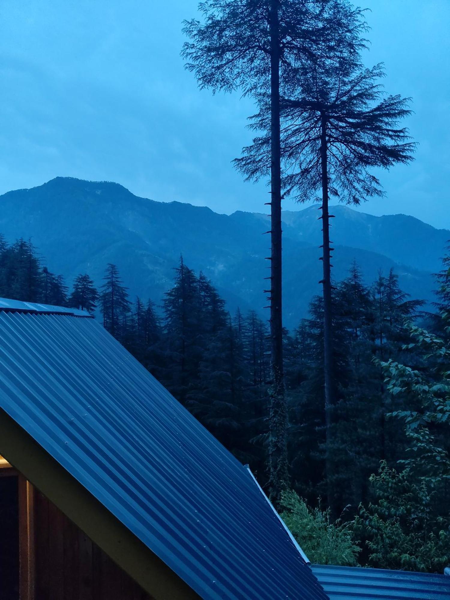 Forest View Cottage Jibhi Kültér fotó