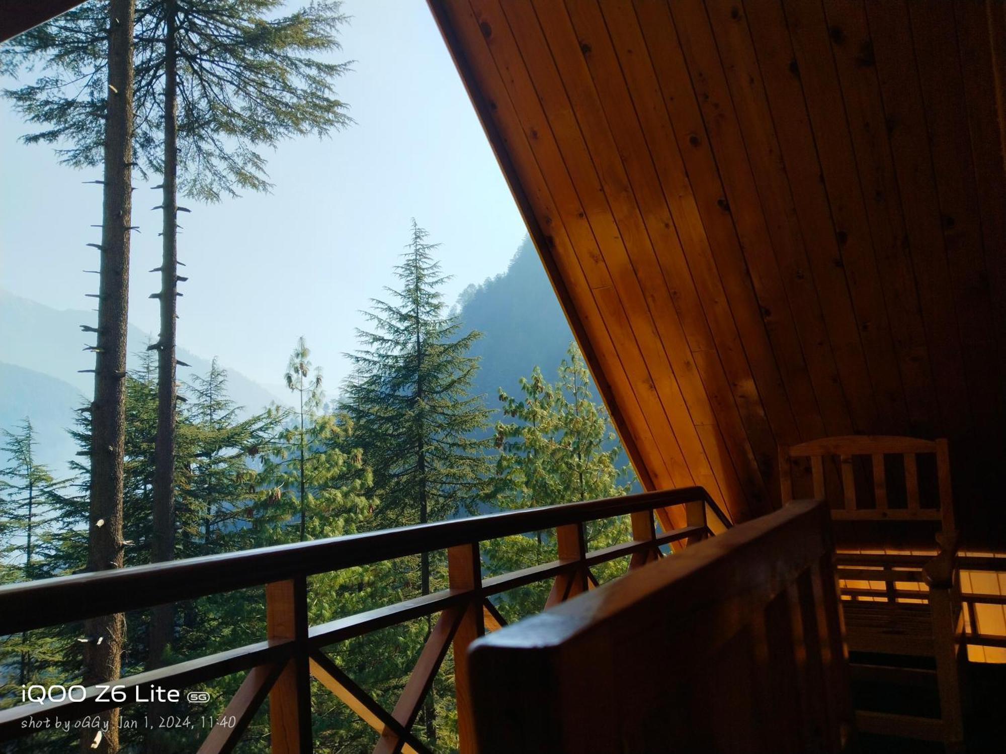 Forest View Cottage Jibhi Kültér fotó