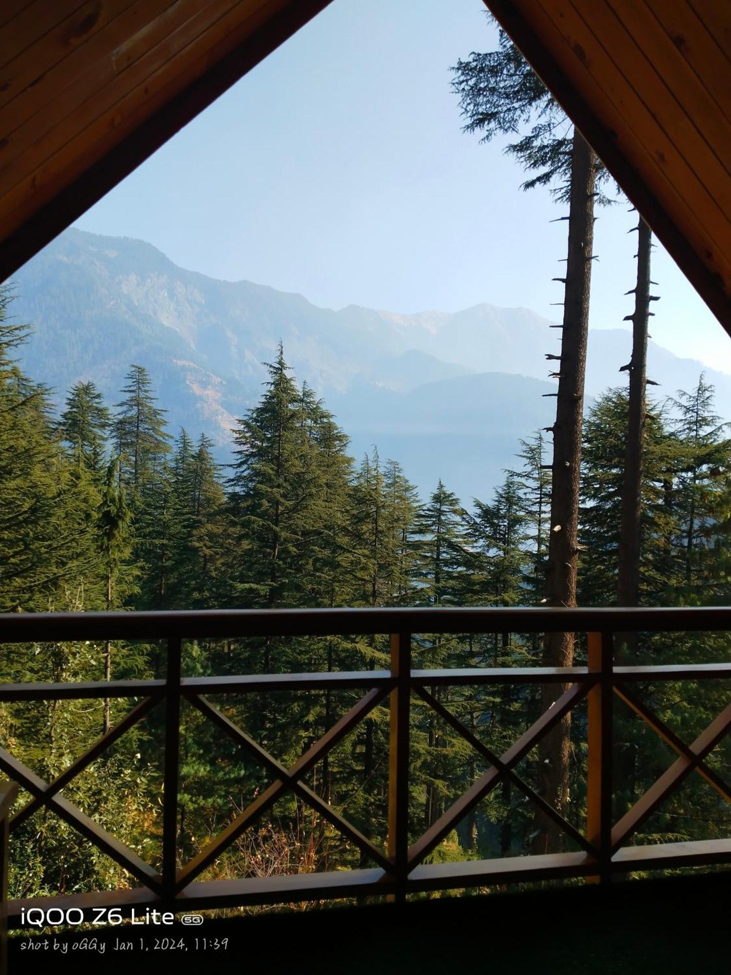 Forest View Cottage Jibhi Kültér fotó